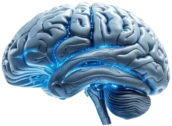 Machine intelligence, rendered as a human brain