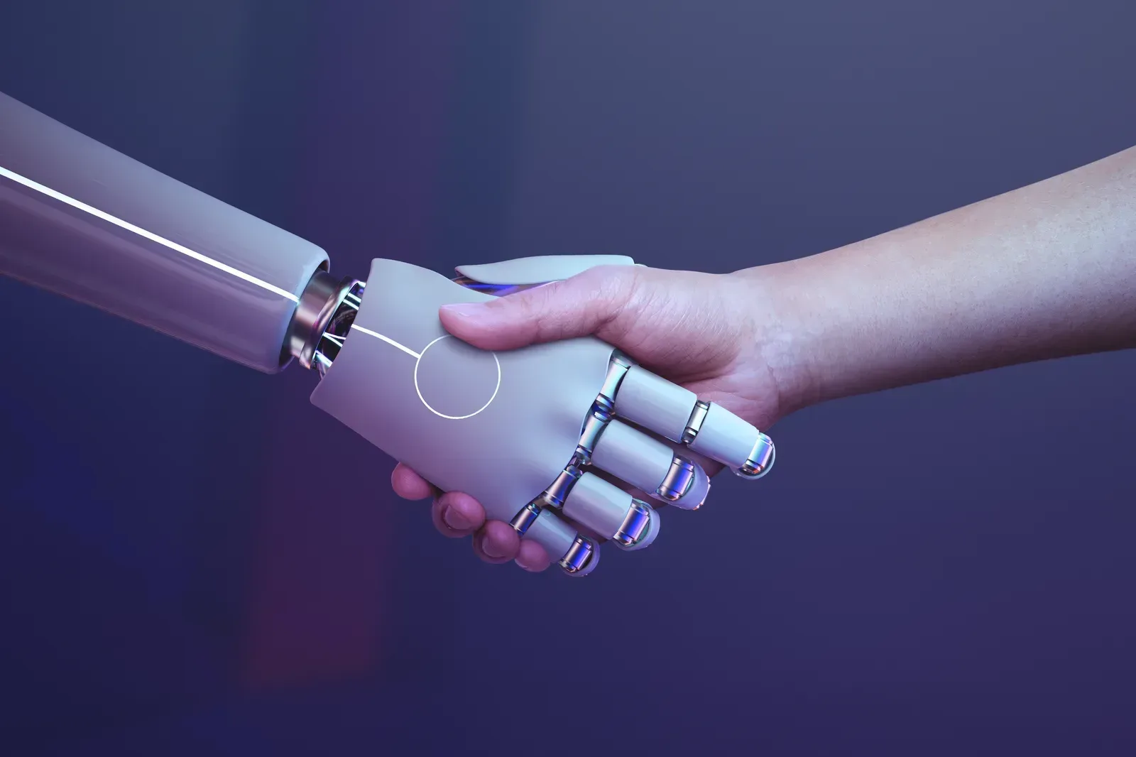 AI Customer Support Automation